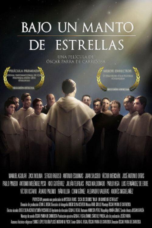 Bajo un manto de estrellas 2014 official movie poster
