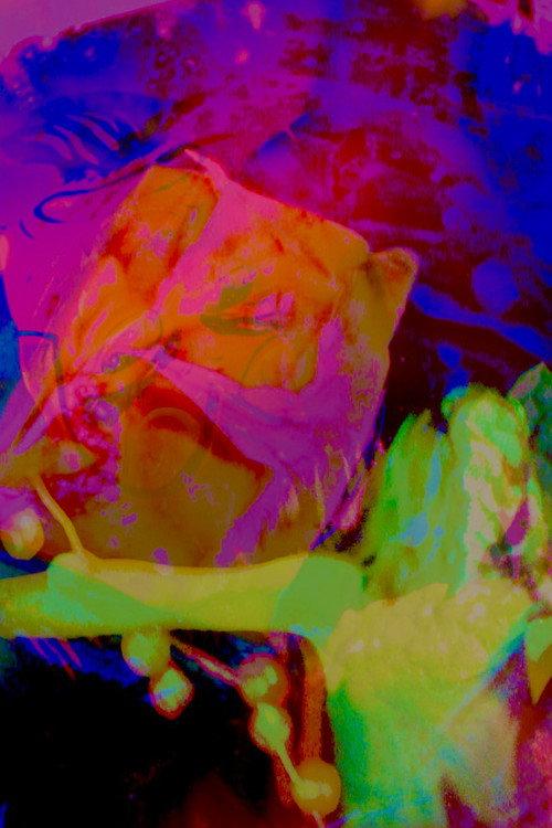 Hannah's Psycho-delic Adventure official movie poster