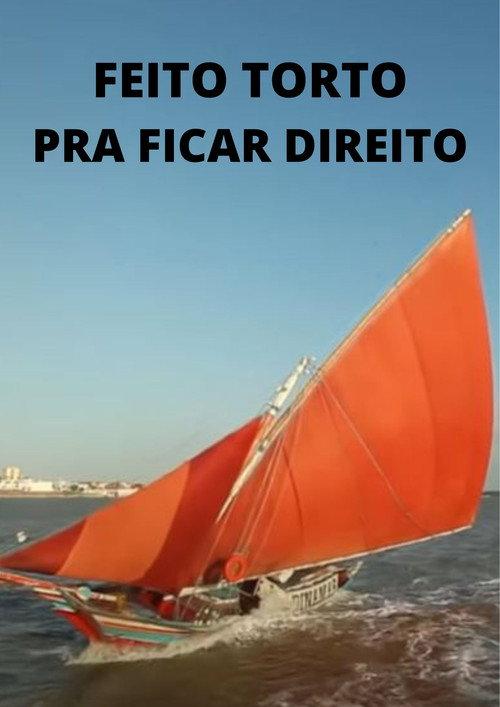 Feito Torto pra Ficar Direito 2015 official movie poster