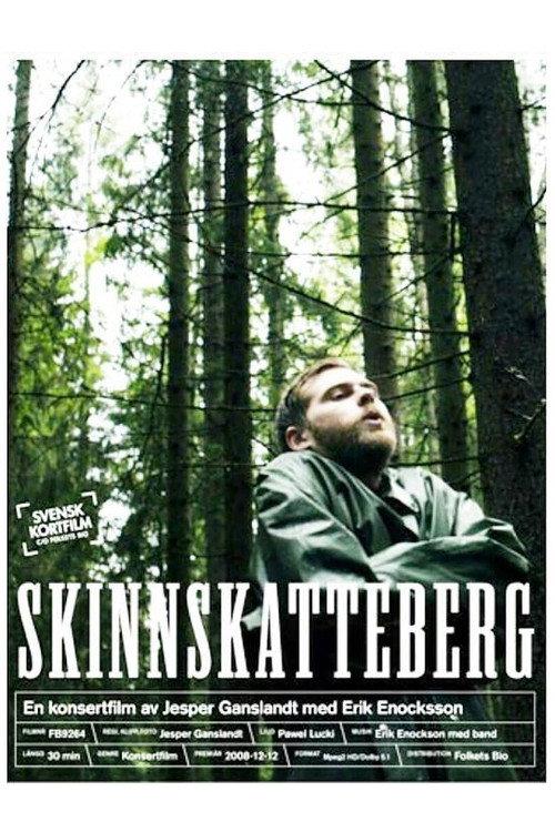 Skinnskatteberg 2008 official movie poster