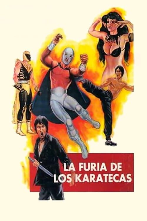 The Fury of the Karate Experts 1982 official movie poster