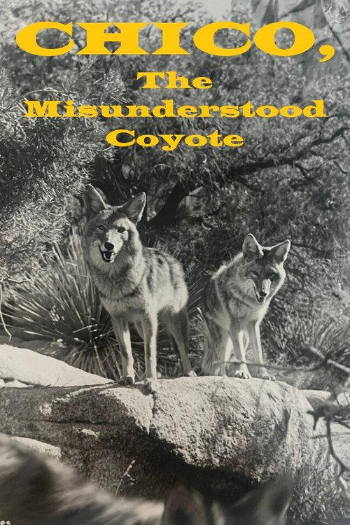 Chico, the Misunderstood Coyote 1961 official movie poster