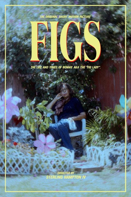 Figs 2023 official movie poster