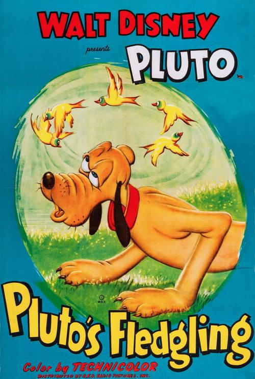 Pluto's Fledgling 1948 official movie poster