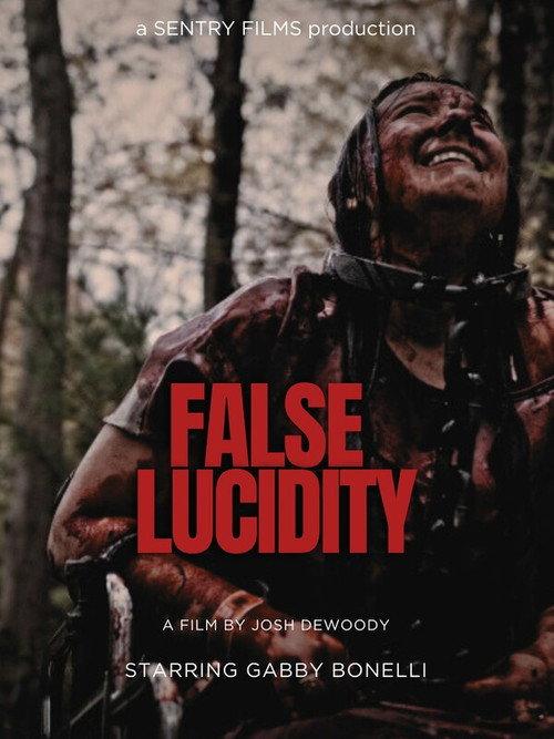 False Lucidity 2026 official movie poster