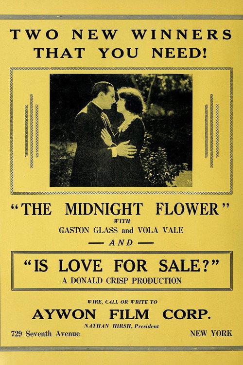 The Midnight Flower 1923 official movie poster