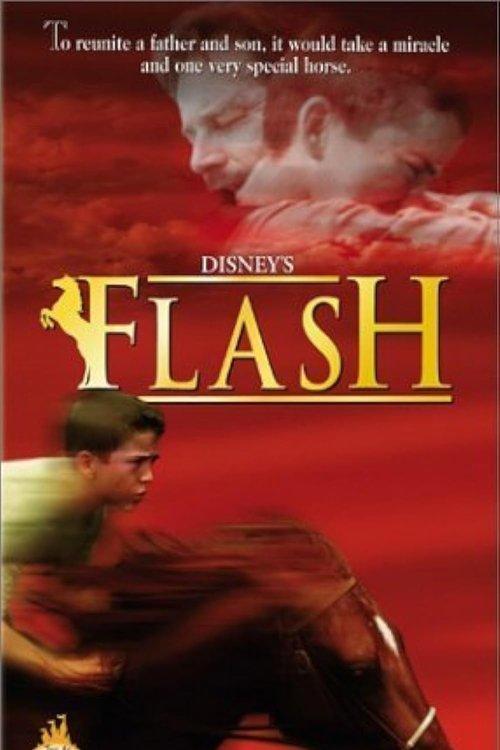 Flash 1997 official movie poster