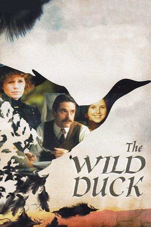 The Wild Duck 1984 official movie poster