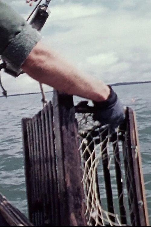 Lobsterman 1973 official movie poster