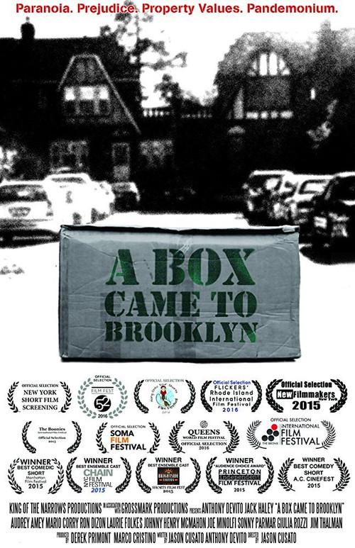 A Box Came to Brooklyn 2015 official movie poster
