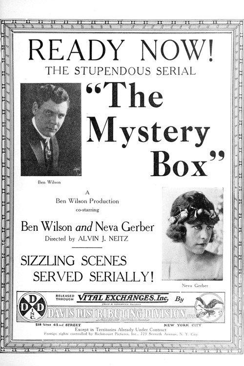 The Mystery Box 1925 official movie poster