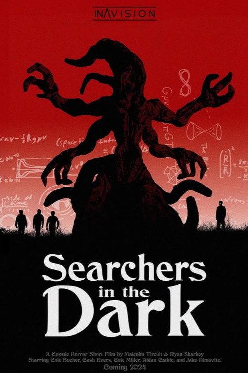 Searchers in the Dark 2024 official movie poster