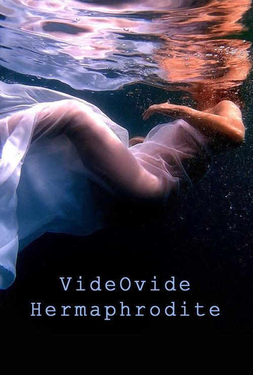 VideOvide Hermaphrodite 2019 official movie poster