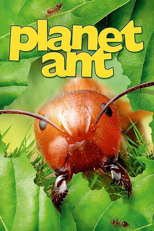 Planet Ant: Life Inside The Colony 2013 official movie poster