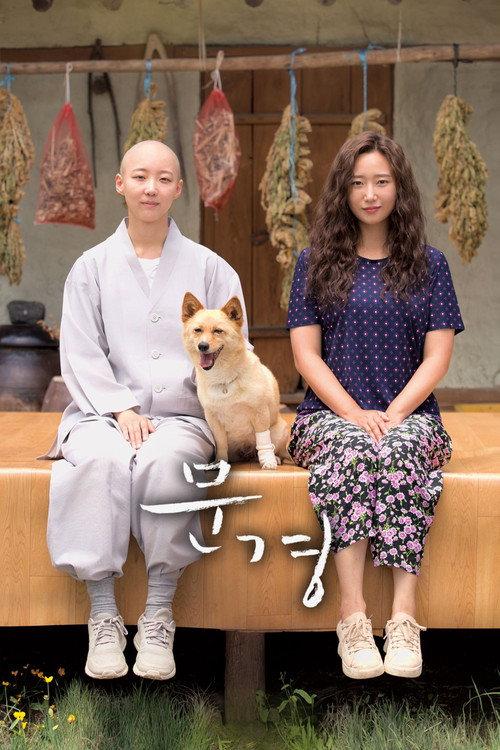 Mungyeong: More than Roads 2024 official movie poster