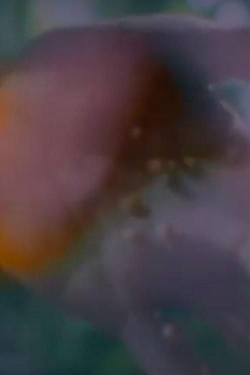 Birth 1997 official movie poster