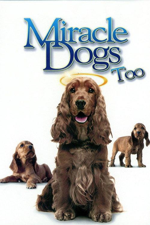 Miracle Dogs Too 2006 official movie poster