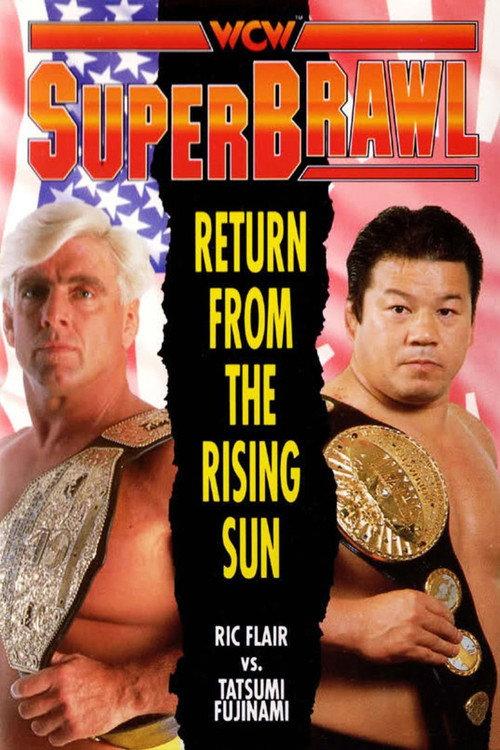 WCW SuperBrawl 1 1991 official movie poster