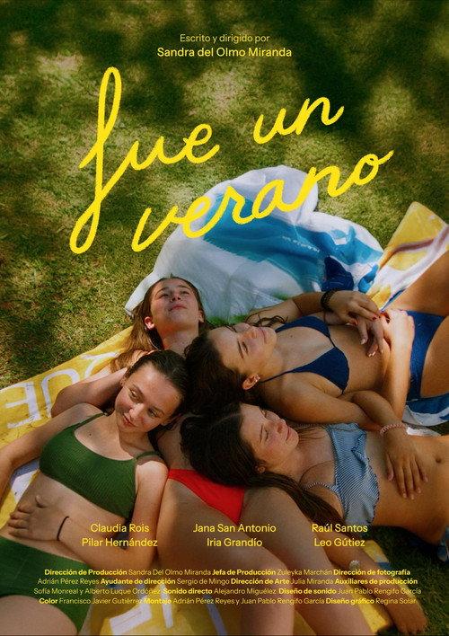 Fue un verano 2026 official movie poster