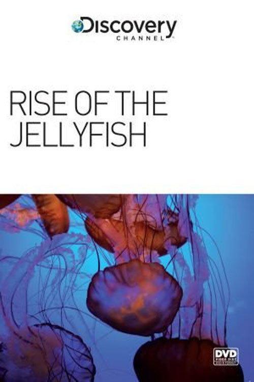 Rise of the Jellyfish 2011 official movie poster