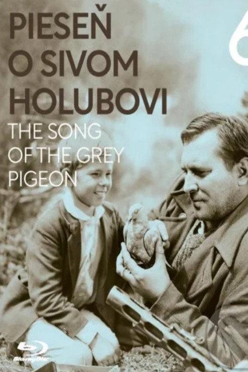 The Song of the Grey Pigeon 1961 official movie poster