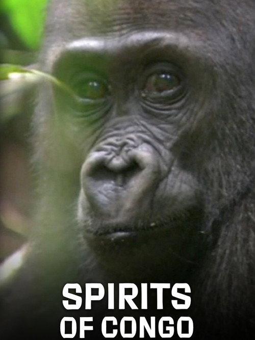 Spirits of Congo 2020 official movie poster