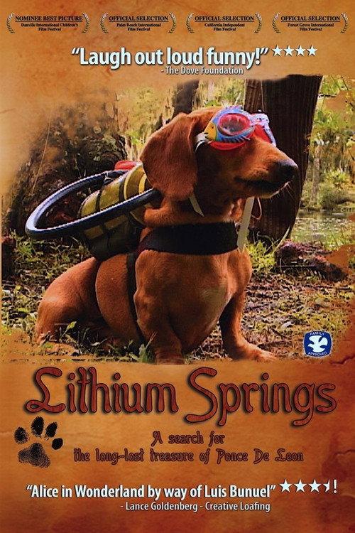Lithium Springs 2004 official movie poster
