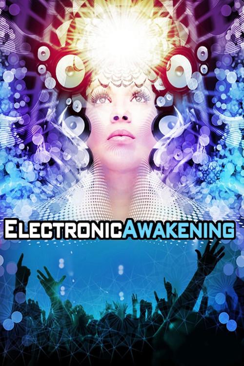 Electronic Awakening 2011 official movie poster