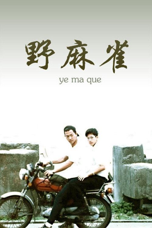Too Young 1997 official movie poster