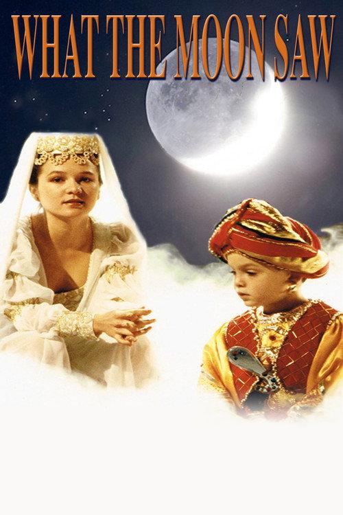 What the Moon Saw 1990 official movie poster