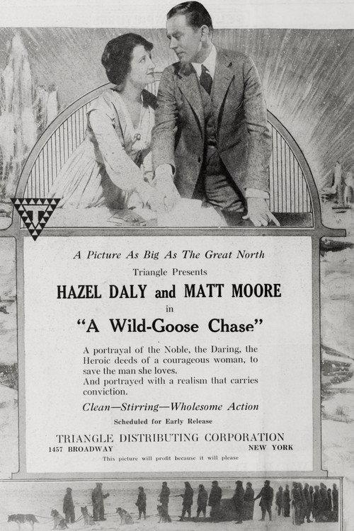 A Wild Goose Chase 1919 official movie poster
