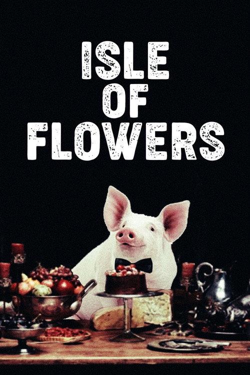 Isle of Flowers 1989 official movie poster