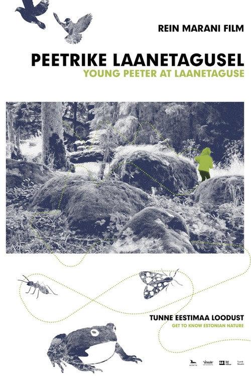 Young Peeter At Laanetaguse 2018 official movie poster