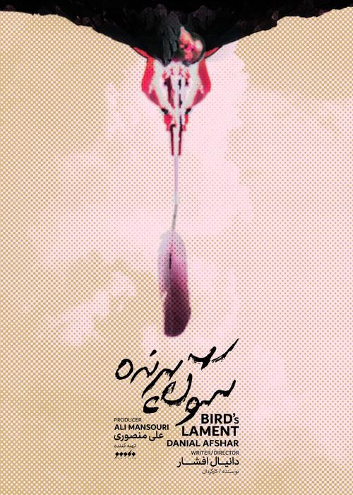Bird's Lament 2021 official movie poster