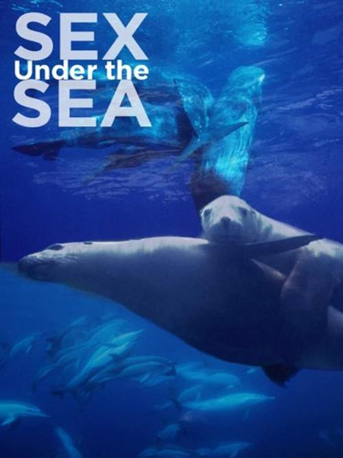 Sexe en Haute Mer 2011 official movie poster