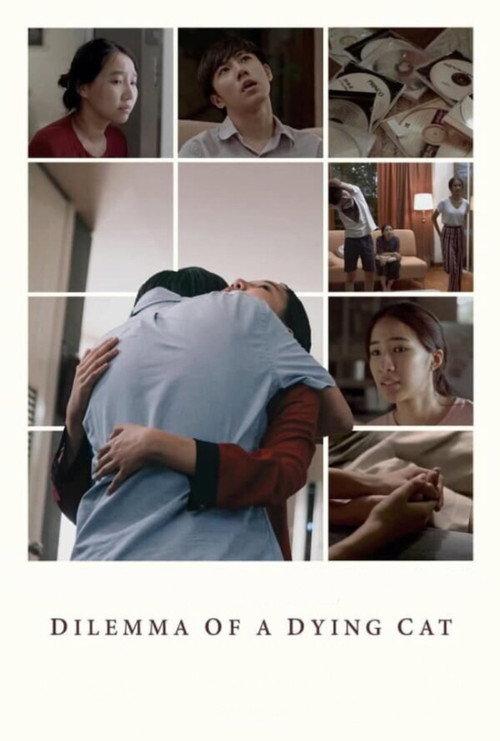 Dilemma Of A Dying Cat 2018 official movie poster