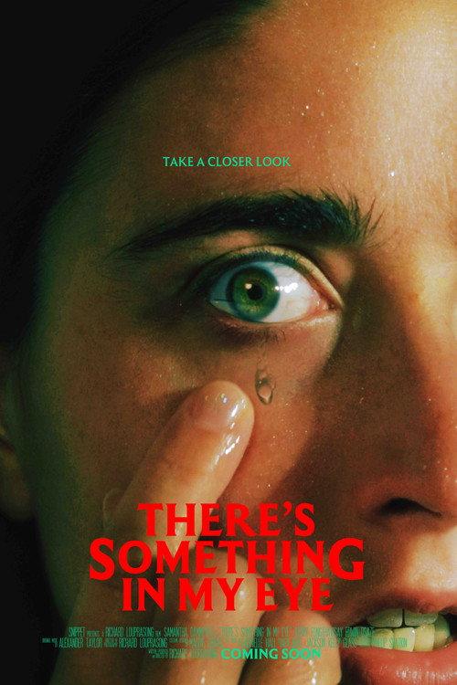 There's Something In My Eye 2025 official movie poster