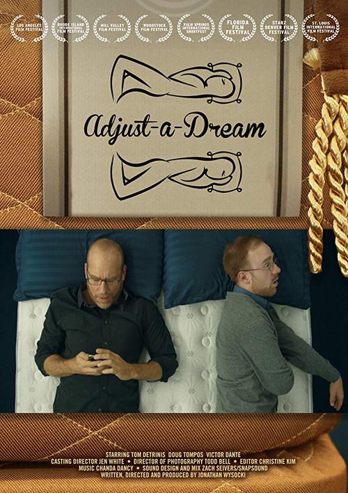Adjust-A-Dream 2014 official movie poster
