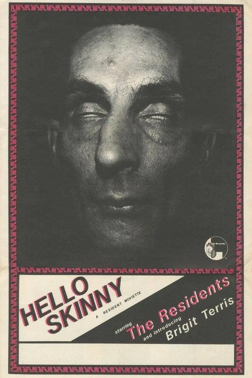 Hello Skinny  official movie poster