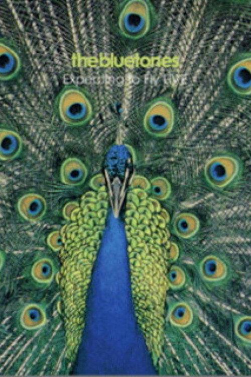 The Bluetones: Expecting To Fly Live 2009 official movie poster
