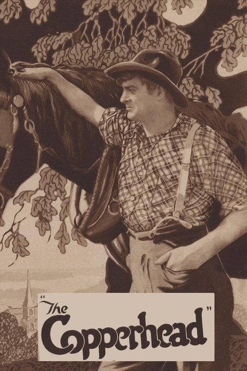 The Copperhead 1920 official movie poster