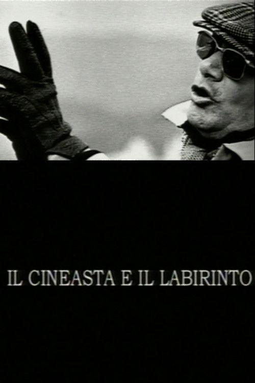The Filmmaker and the Labyrinth 2004 official movie poster