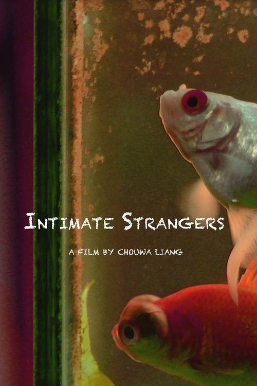 Intimate Strangers 2020 official movie poster