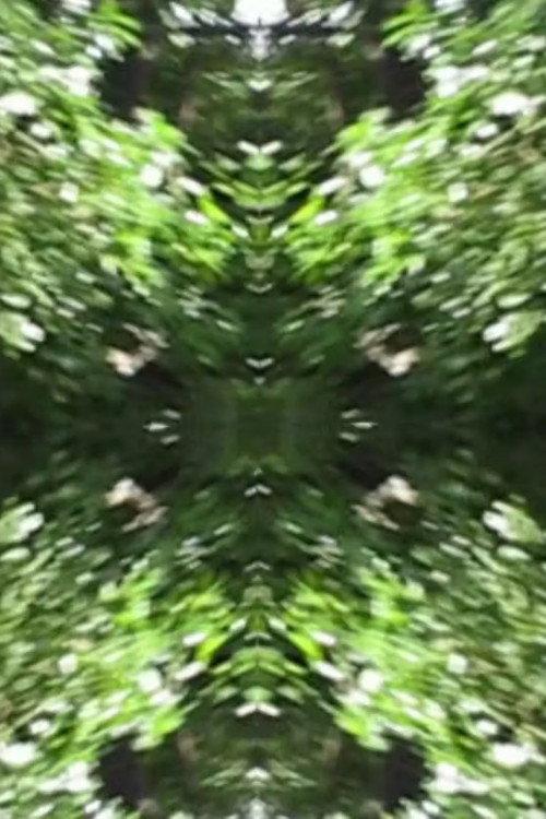 The Richter Garden 2012 official movie poster