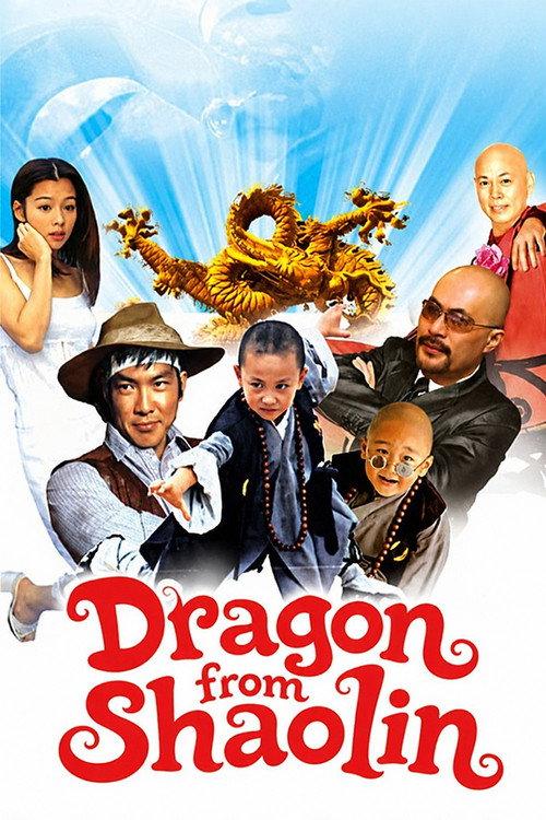 Dragon from Shaolin 1996 official movie poster