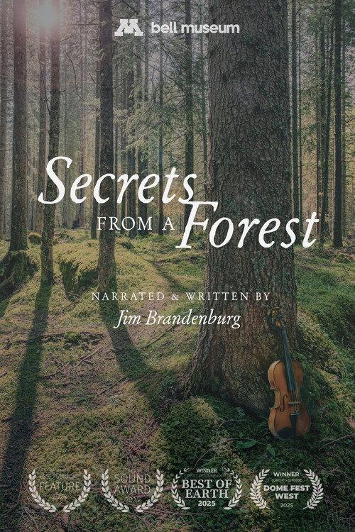Secrets From a Forest  official movie poster