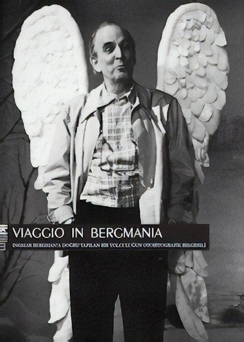 Viaggio in Bergmania 2011 official movie poster
