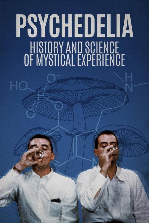 Psychedelia 2021 official movie poster