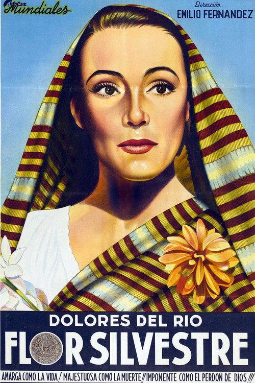 Wild Flower 1943 official movie poster