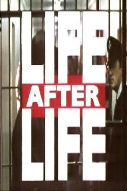 Life After Life 1995 official movie poster